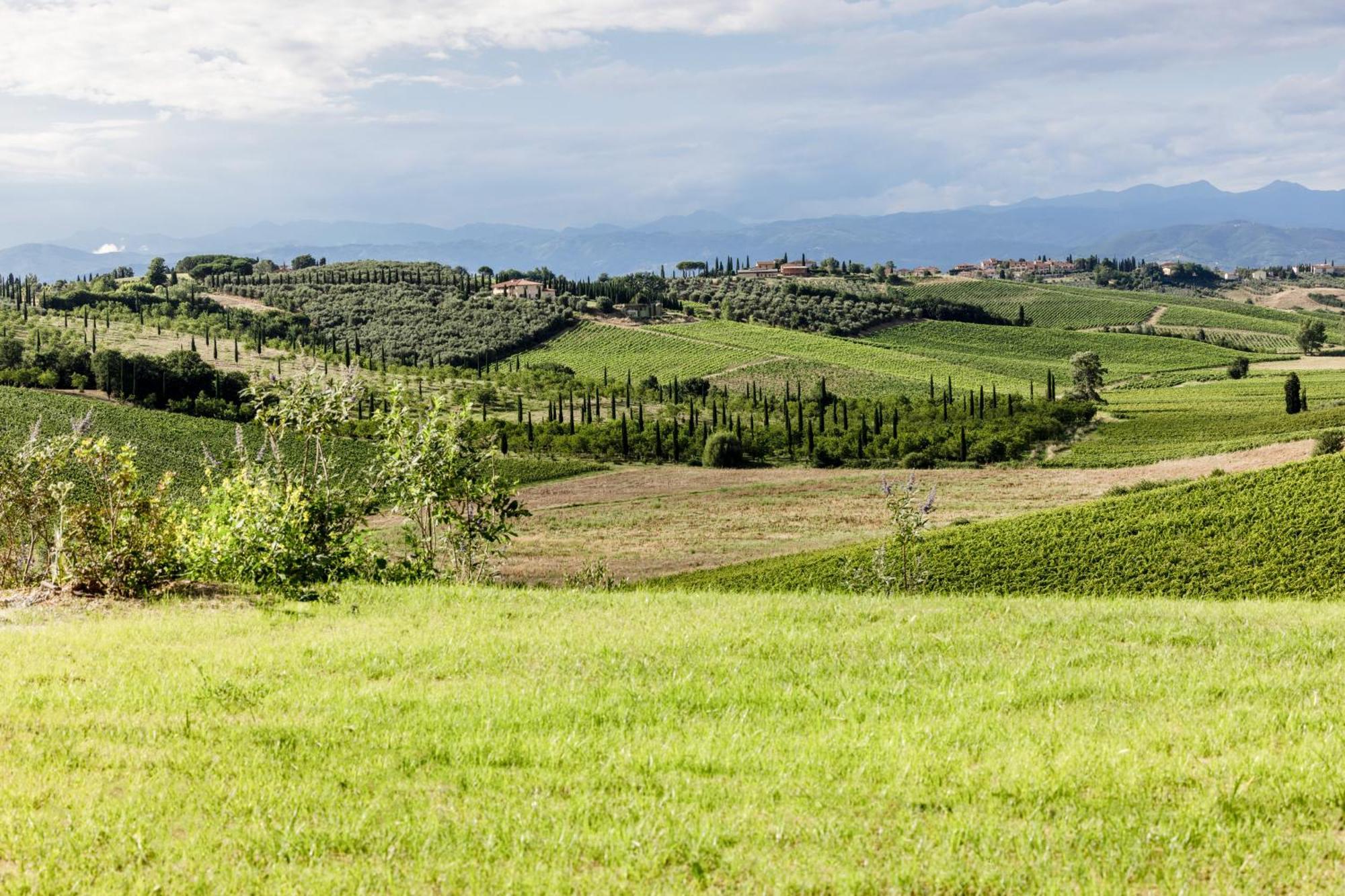 Colle Alberti Country House Cerreto Guidi Kültér fotó